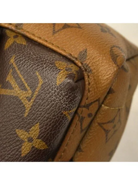 Louis Vuitton Backpack Monogram Reverse Palm Spring Mini Brown - Picture 7 of 10